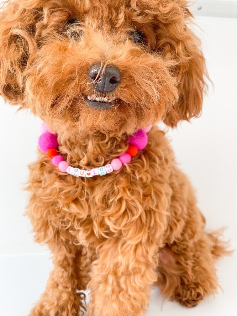 Pink - Personalised Pom Pom Dog Collar