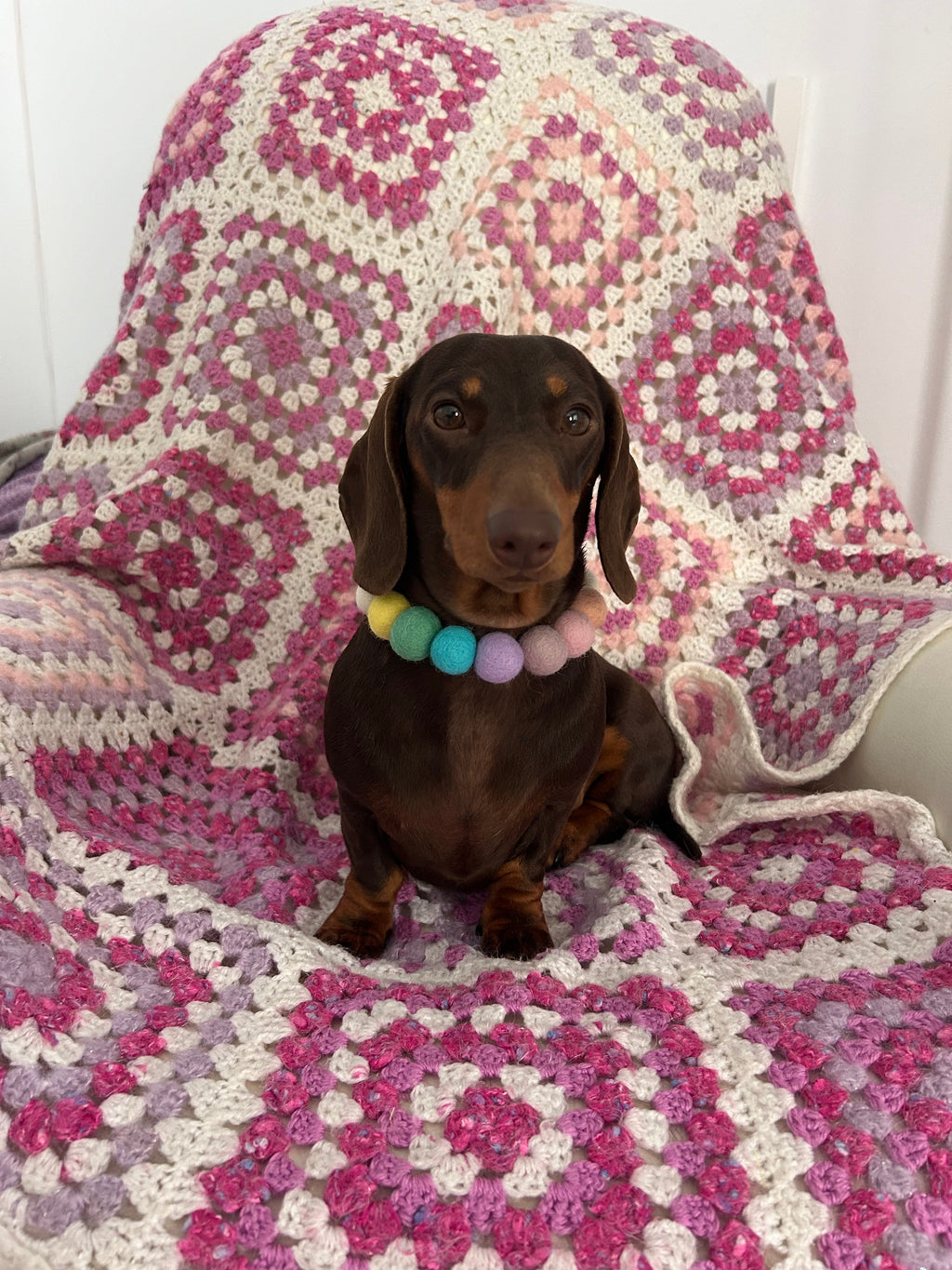 Spring Pink Flower - Personalised Pom Pom Dog Collar