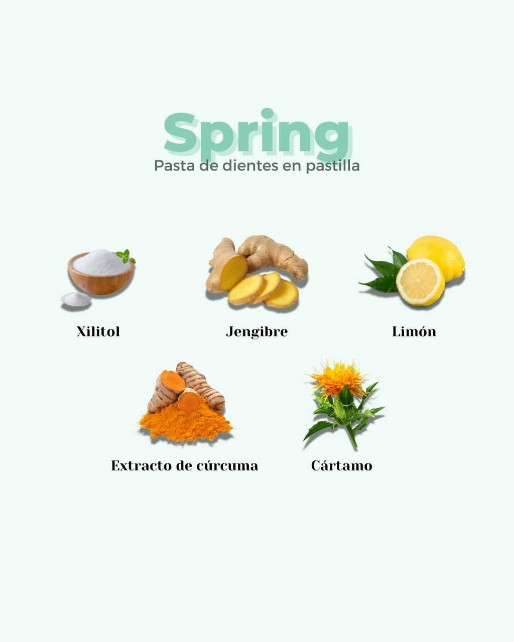 Refill Pasta de Dientes en Pastilla ECO SPRING
