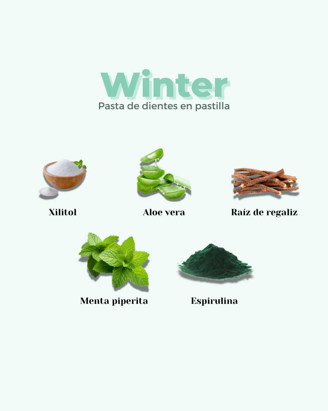 Pasta de Dientes en Pastilla ECO WINTER
