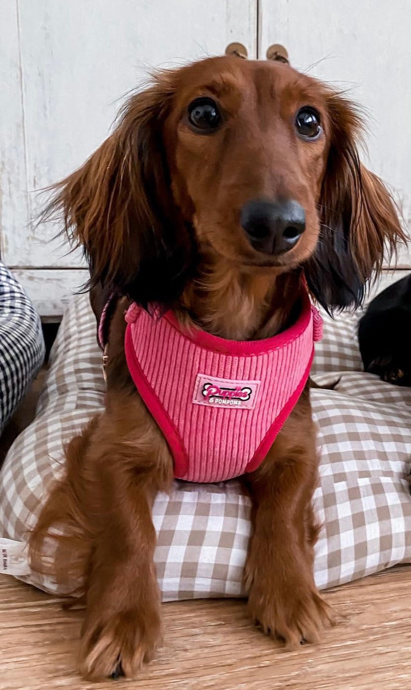 Pink Luxe Corduroy Harness