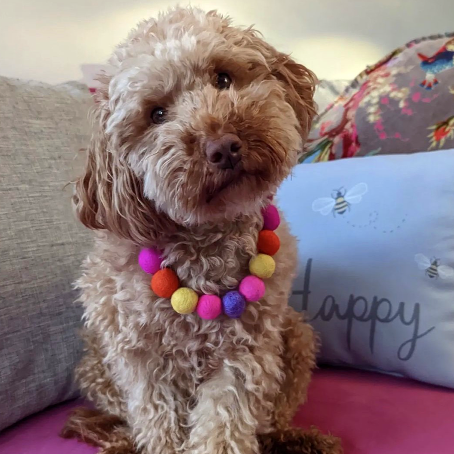 Pink - Personalised Pom Pom Dog Collar