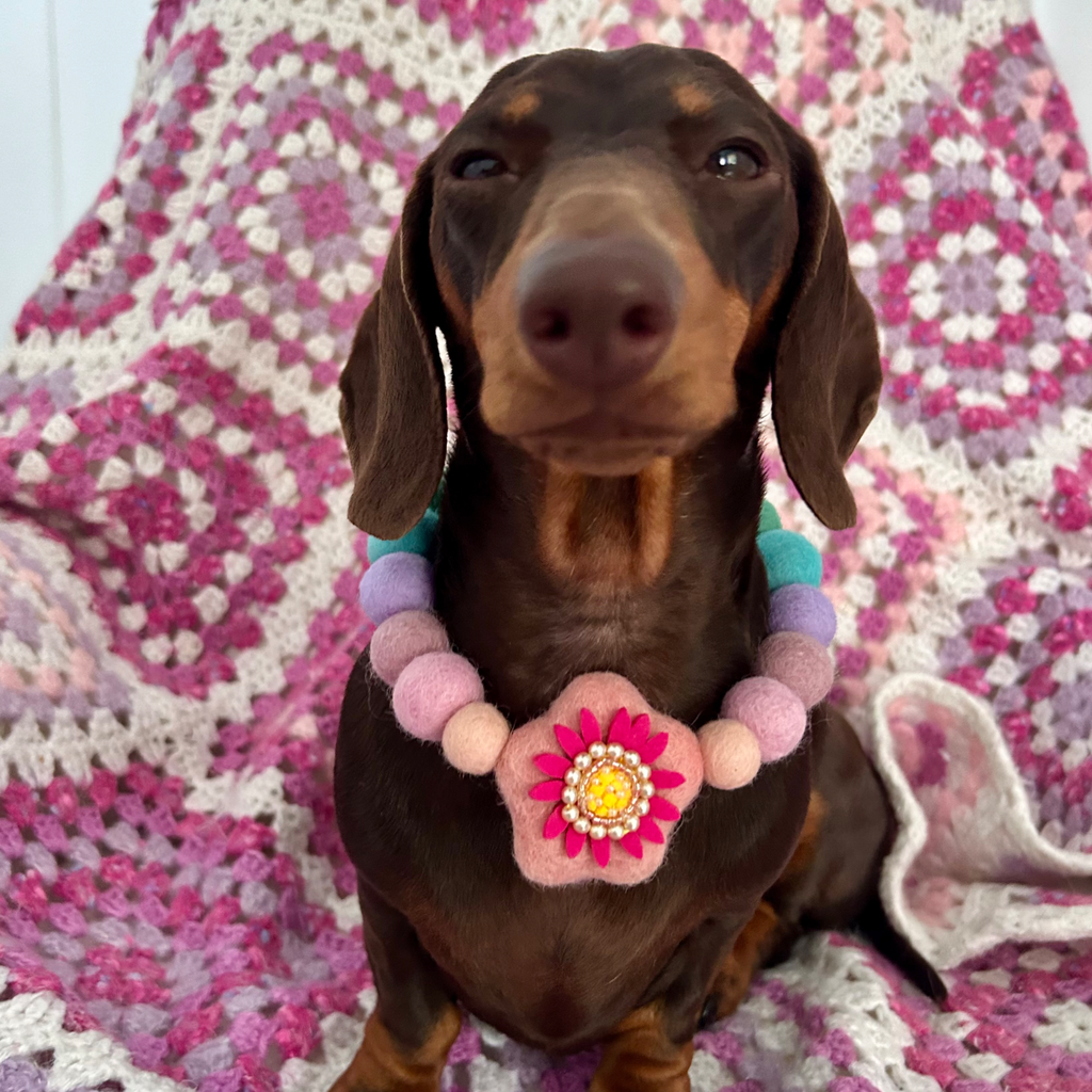 Spring Fuchsia Flower - Personalised Pom Pom Dog Collar