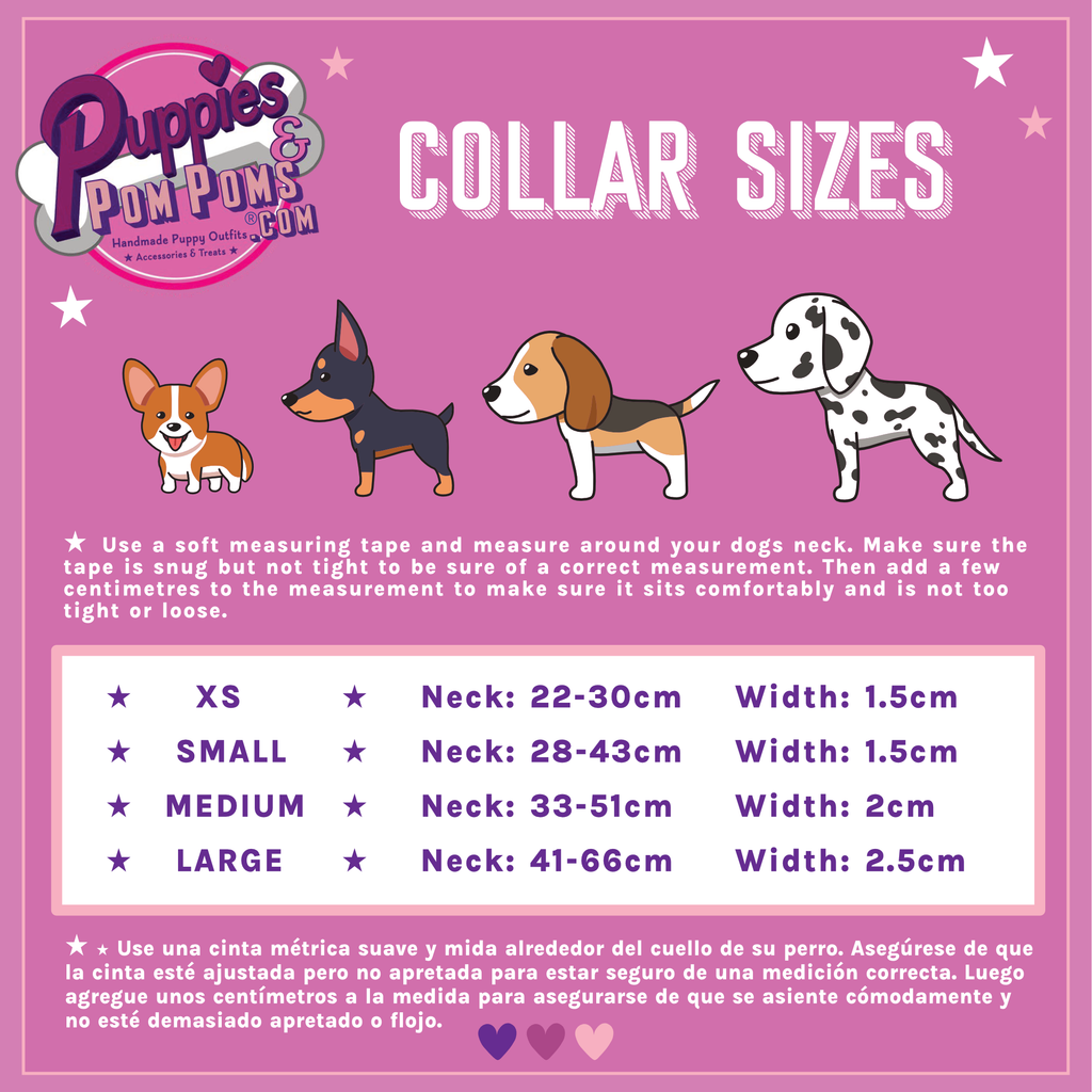 Collar - Summer Pawl Pawty