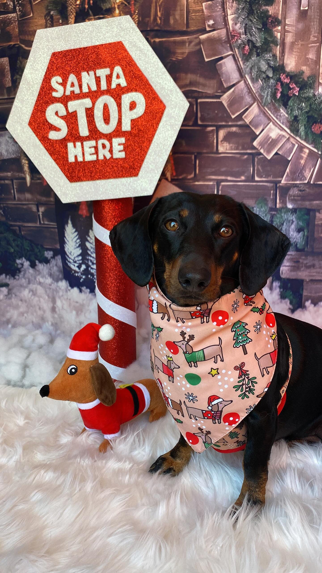 Christmas Dachshunds Bandana - Tie on