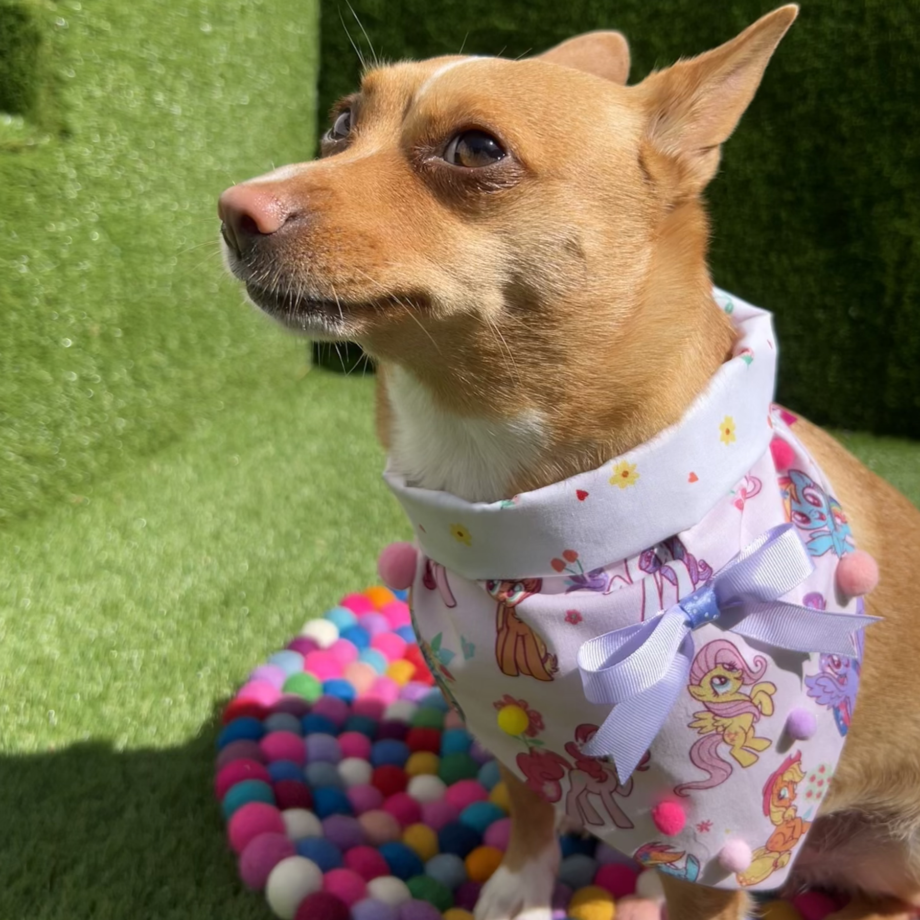 My Little Pony Bandana - Tie On