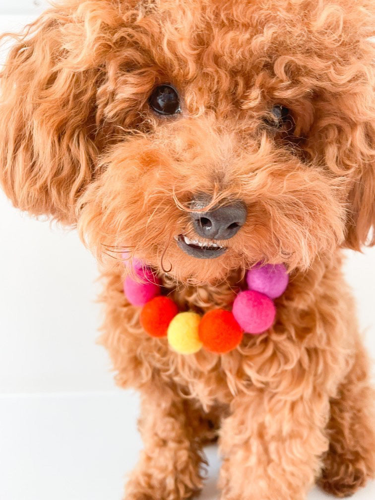Pink - Personalised Pom Pom Dog Collar