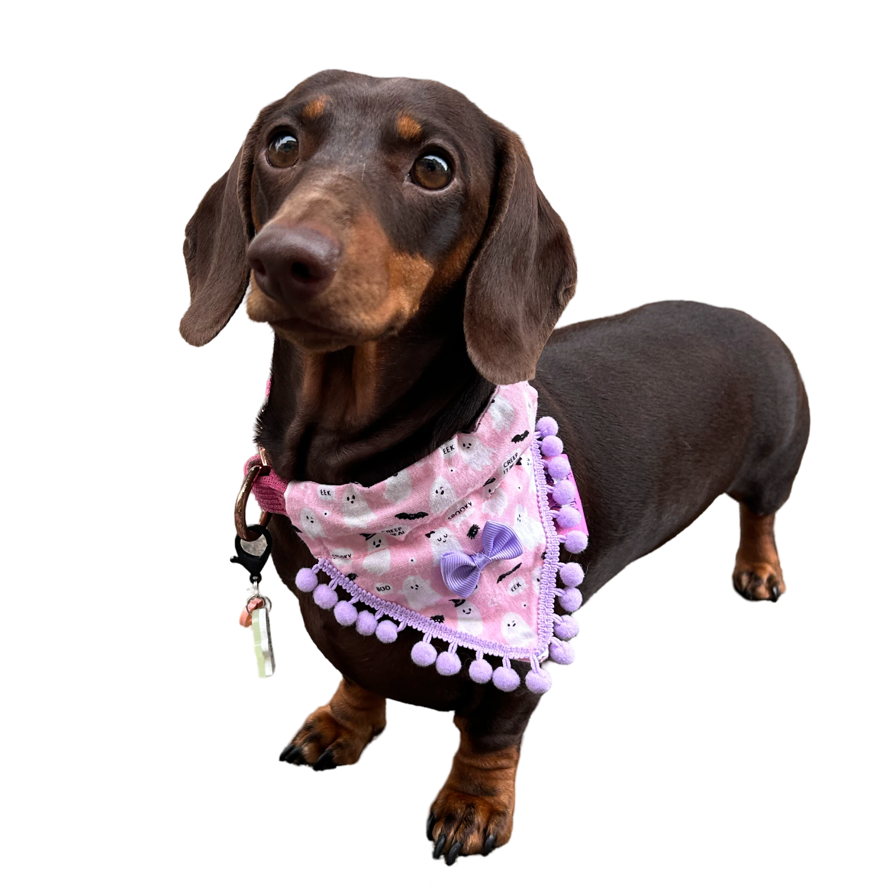 Cute Pink Ghosts! Halloween Pompom Dog Bandana