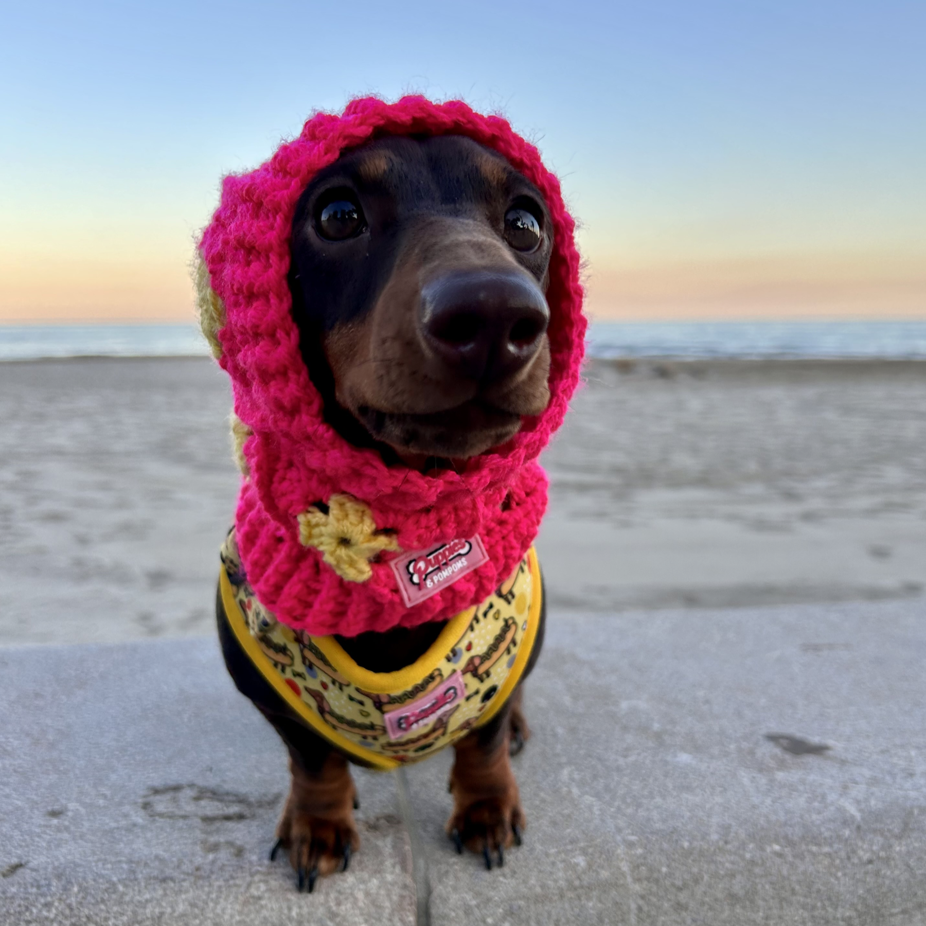 Handmade Crochet Dog Balaclava Hat - Hot Pink