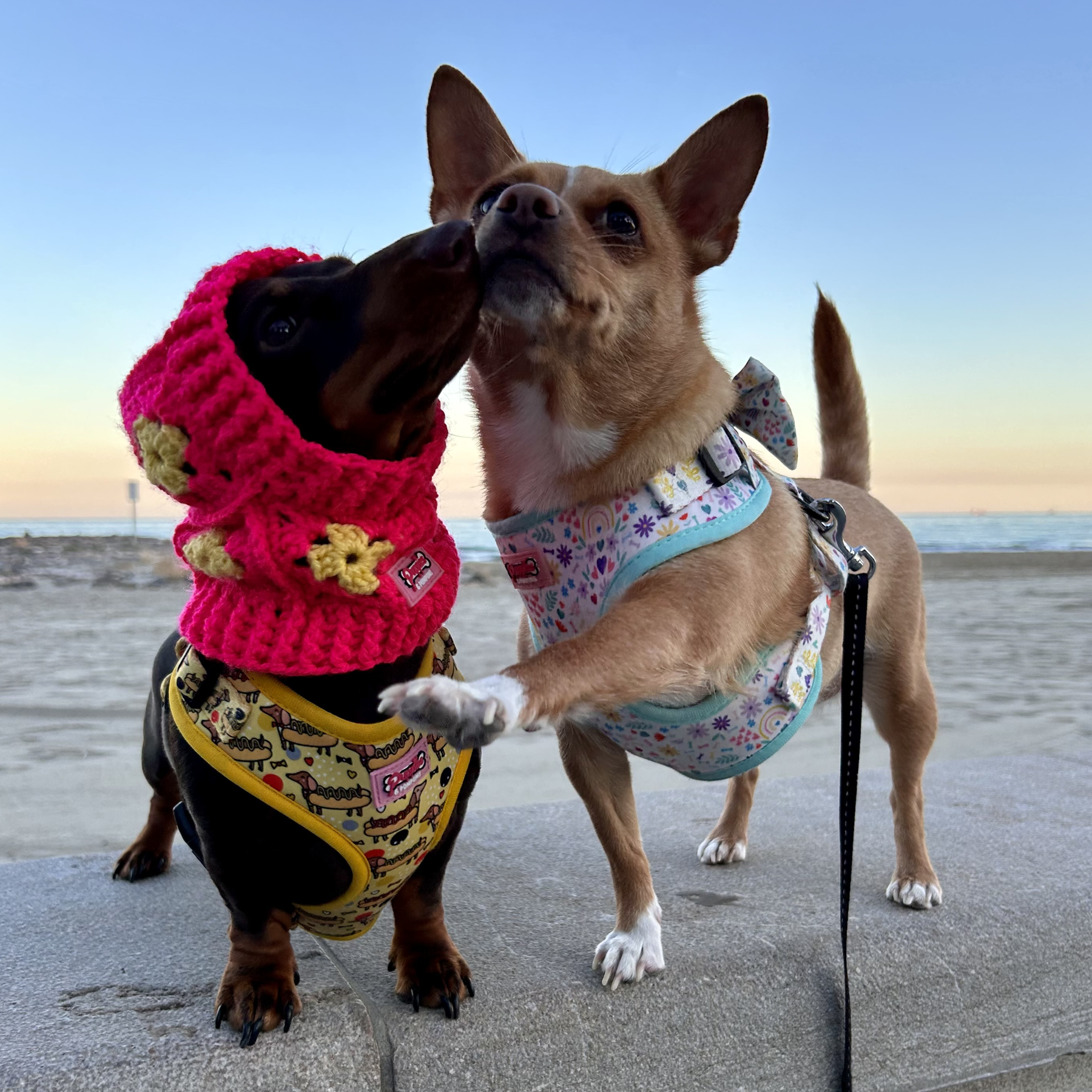 Handmade Crochet Dog Balaclava Hat - Hot Pink