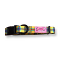 Collar - Cornish Tartan