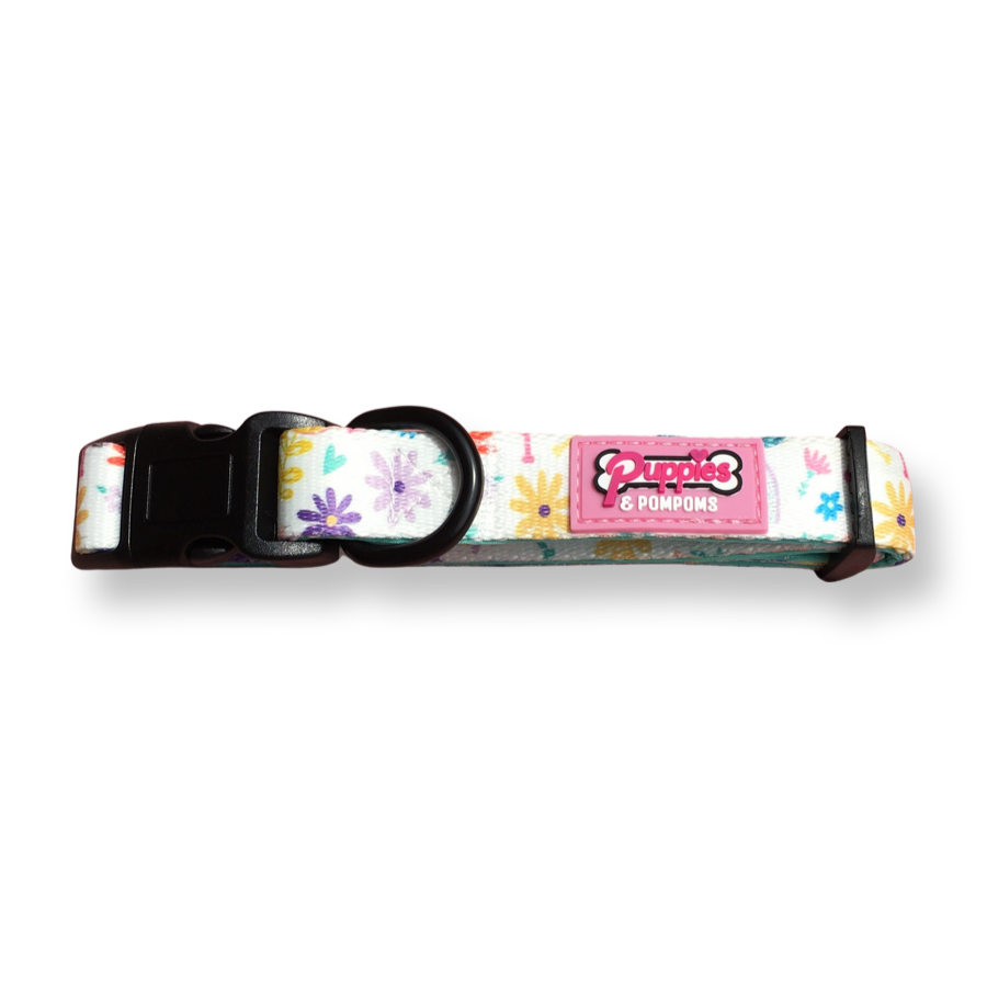 Collar - Ditsy Sprinkles