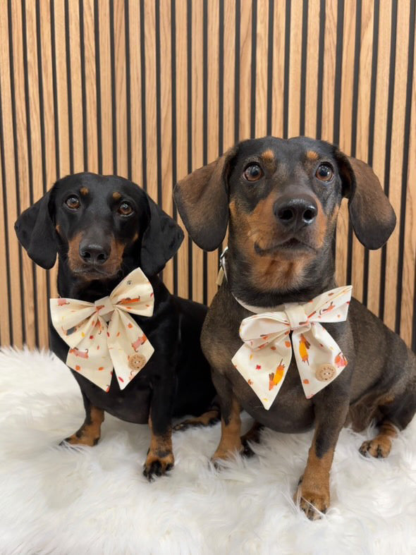Handmade Dog Sailer Bow Tie - Autumn Dachshunds