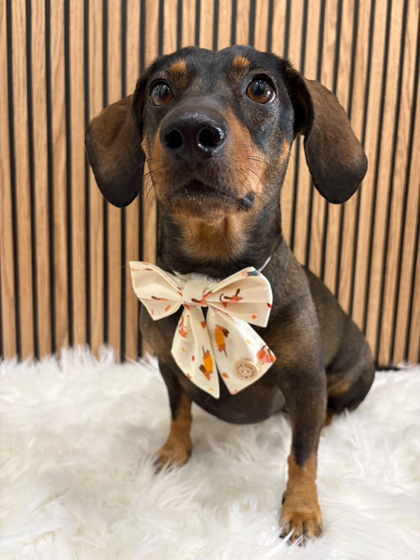 Handmade Dog Sailer Bow Tie - Autumn Dachshunds