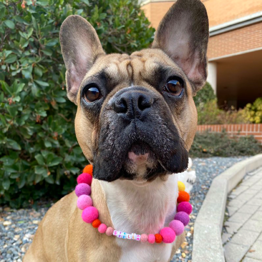 Pink - Personalised Pom Pom Dog Collar