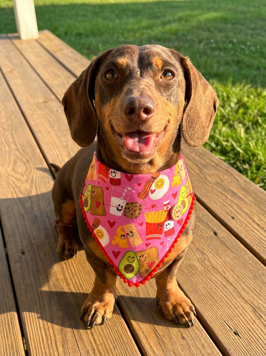 Handmade Dog Bandana - Made to be Together -Slide On