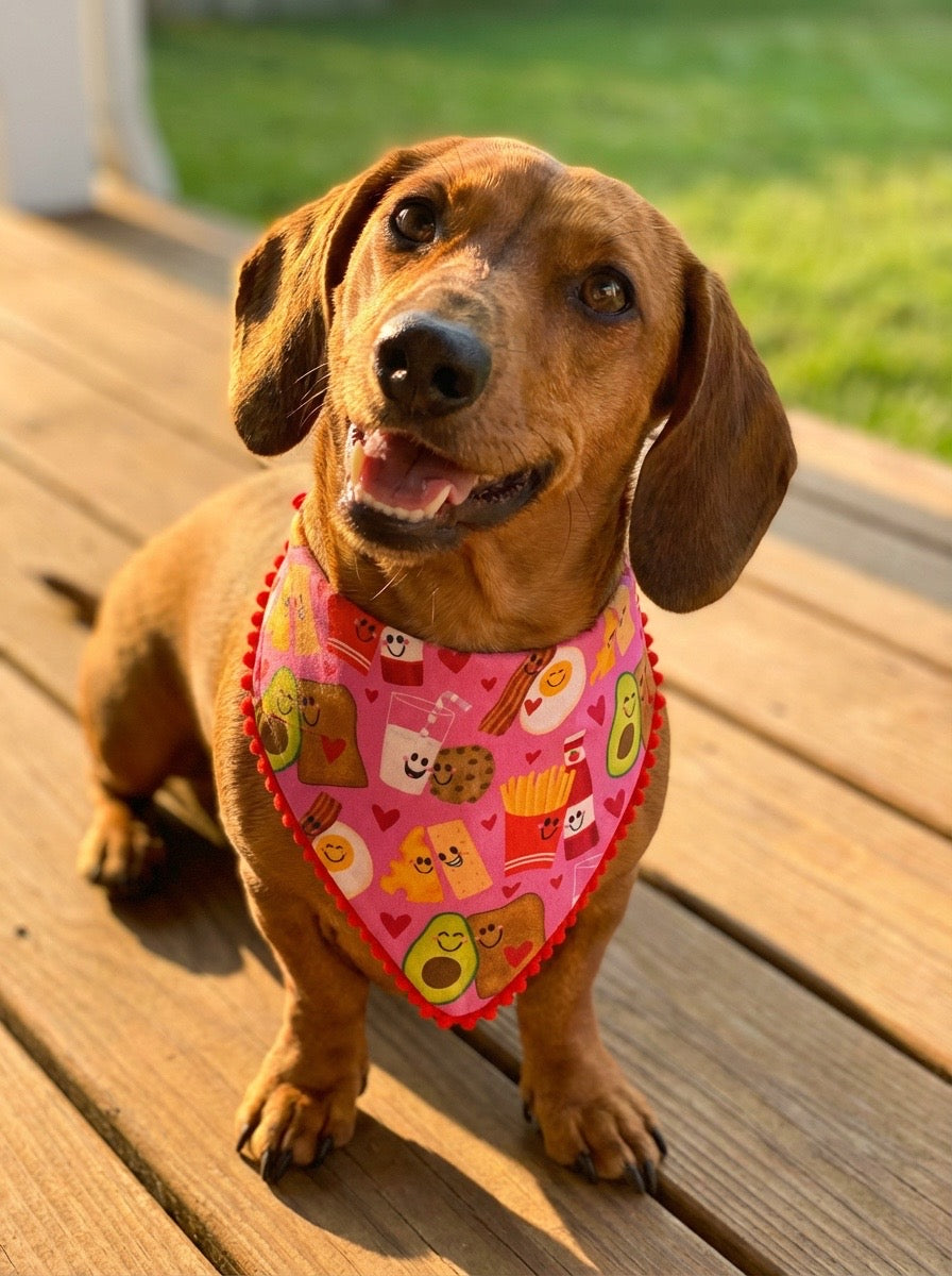 Handmade Dog Bandana - Made to be Together -Slide On