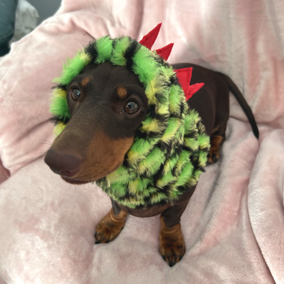 Dinosaur Snood / Buff / Hat