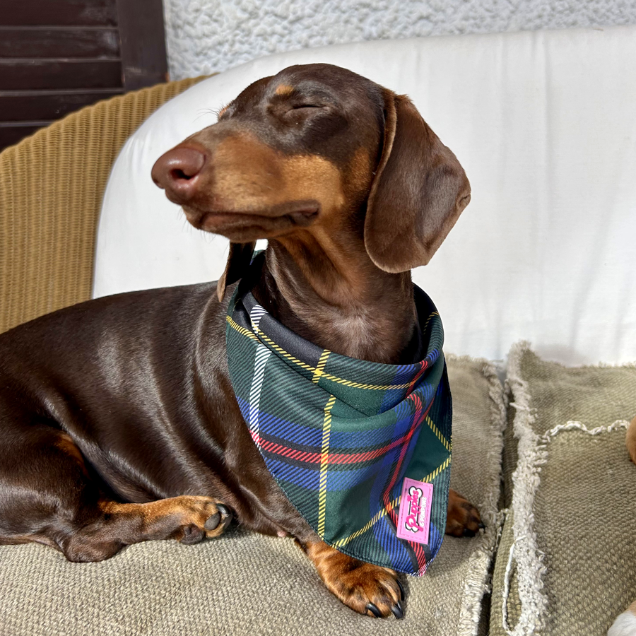 Cornish Hunting Tartan - Bandana - Tie-on