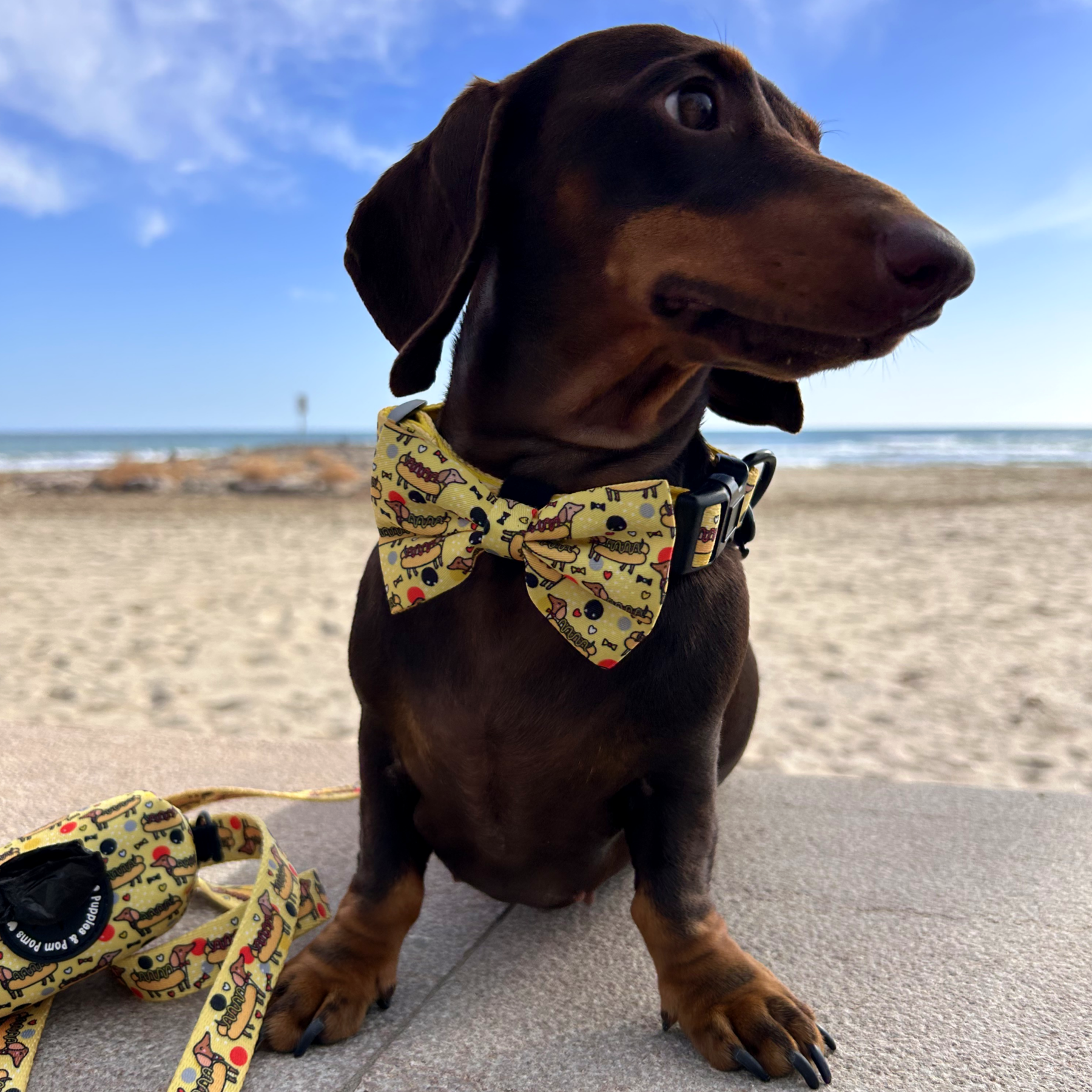 Dog Bow Tie - Hot Dog Dachshunds