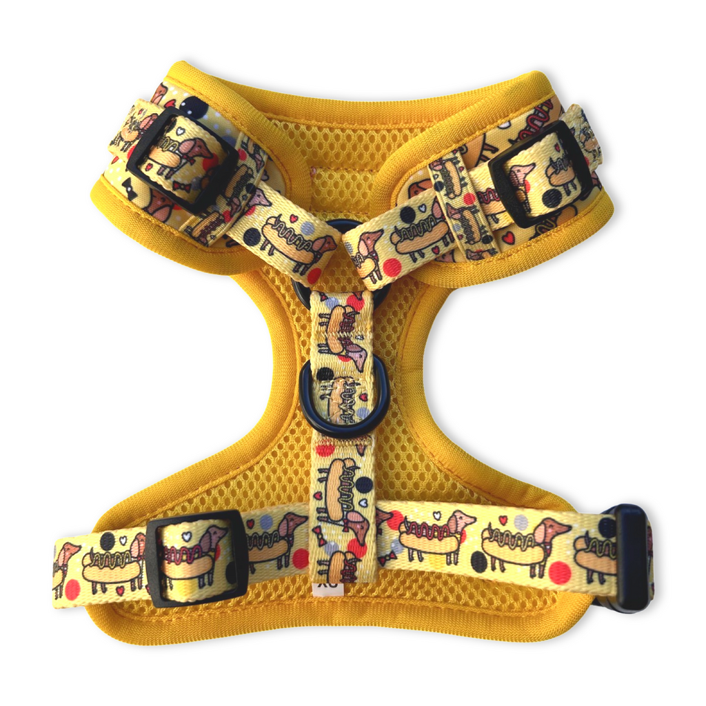 Hot Dog Dachshunds Harness