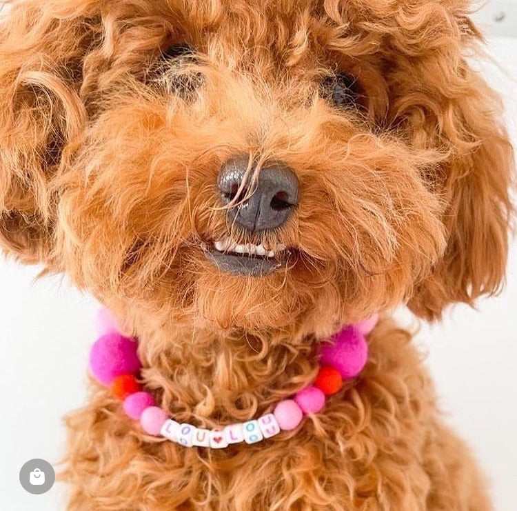 Pink - Personalised Pom Pom Dog Collar