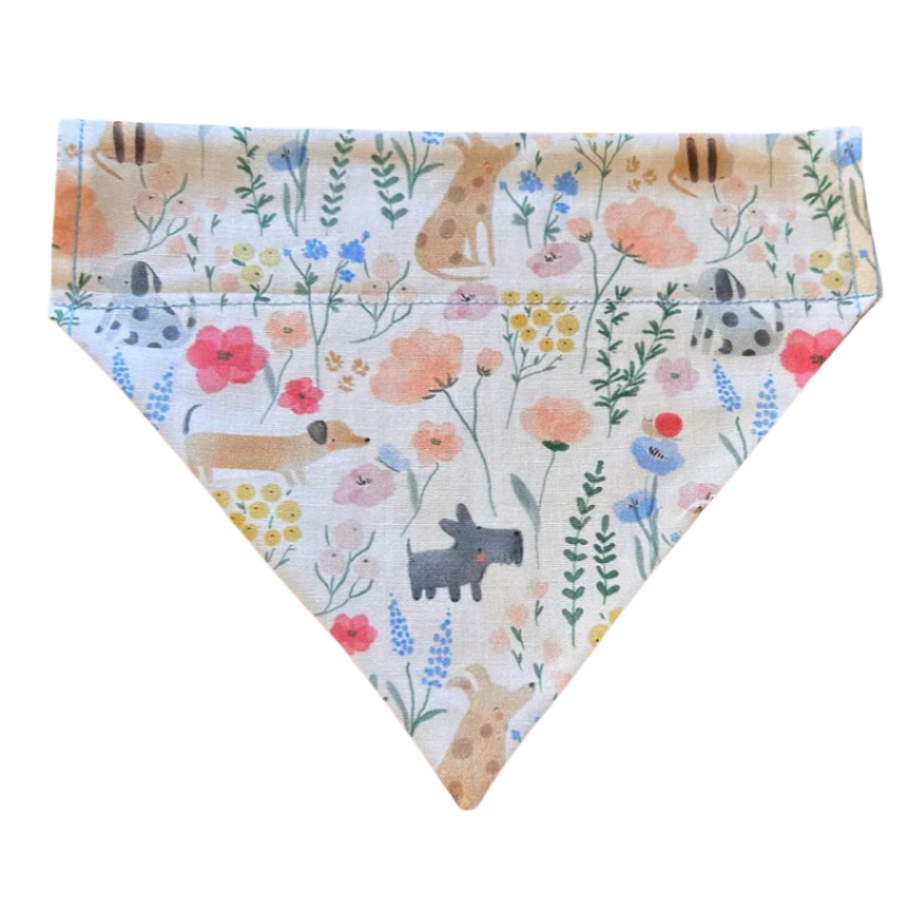 Meadow Dachshunds Bandana