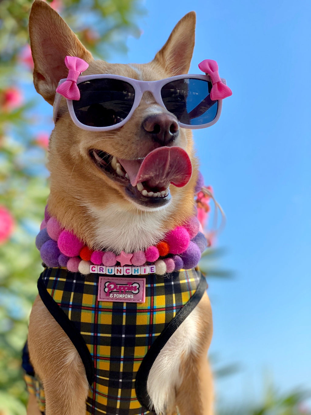 Harness - Cornish Tartan - As Seen in Vogue