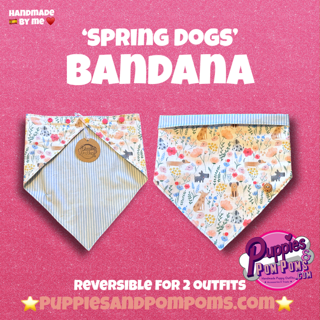 Spring Dachshunds Bandana - Snap On