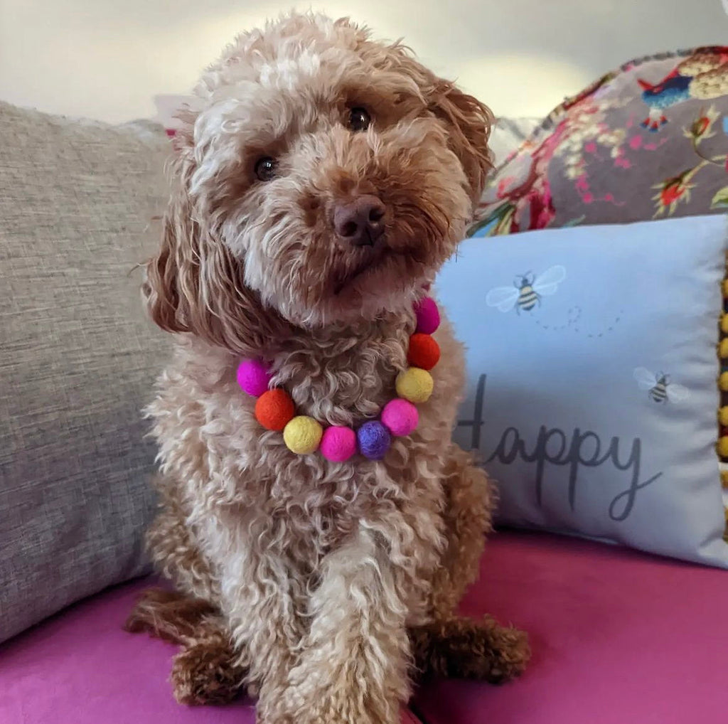 Pink - Personalised Pom Pom Dog Collar