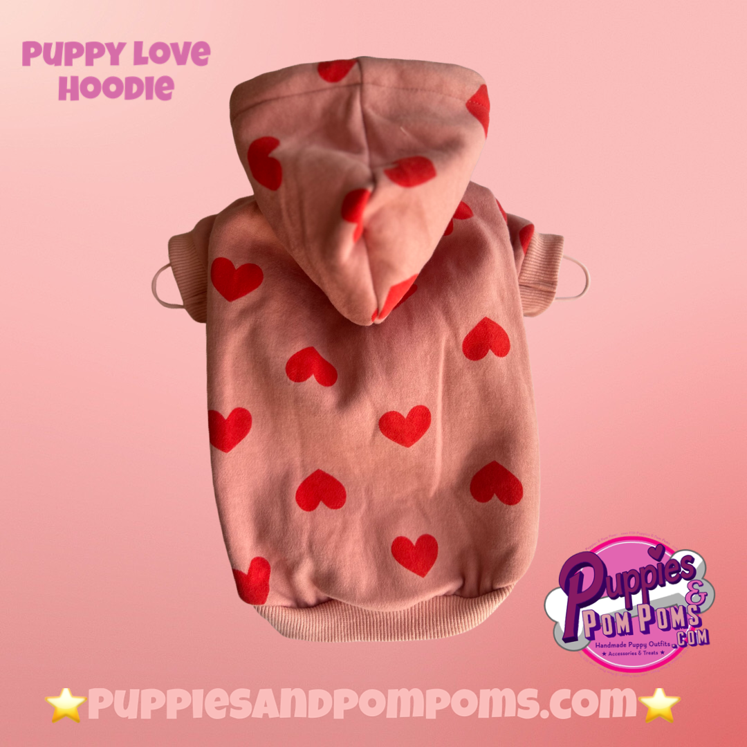 Valentine Puppy Love Hoodie - Pink