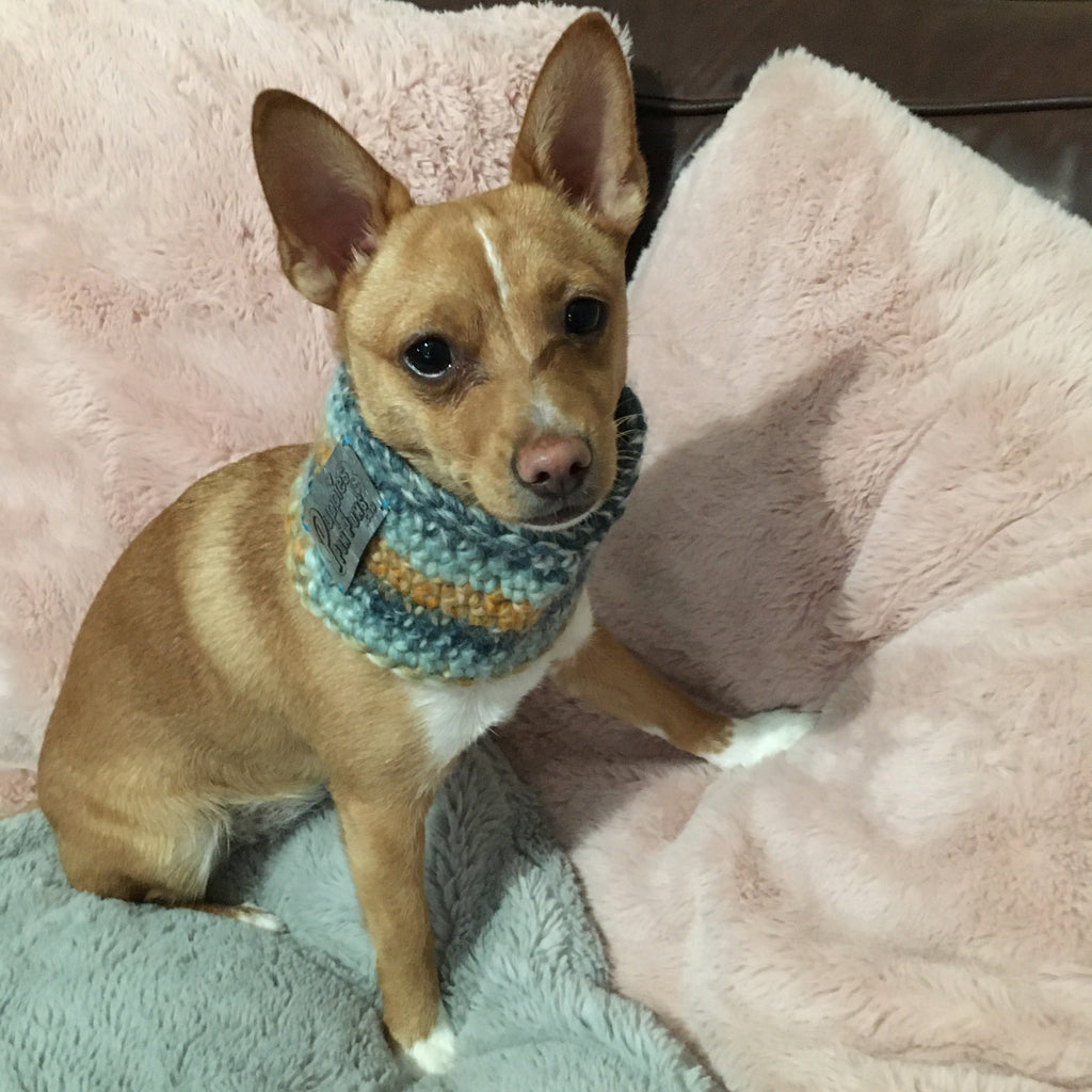 Ombré Blue / Orange Crochet Dog Snood / Buff