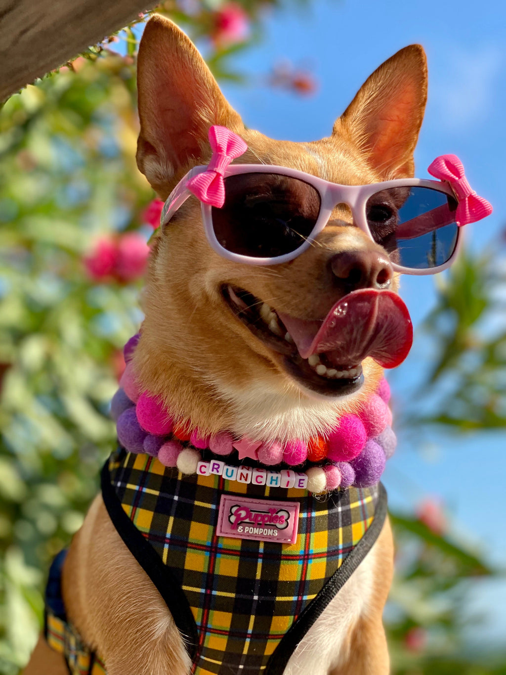 Pink - Personalised Pom Pom Dog Collar