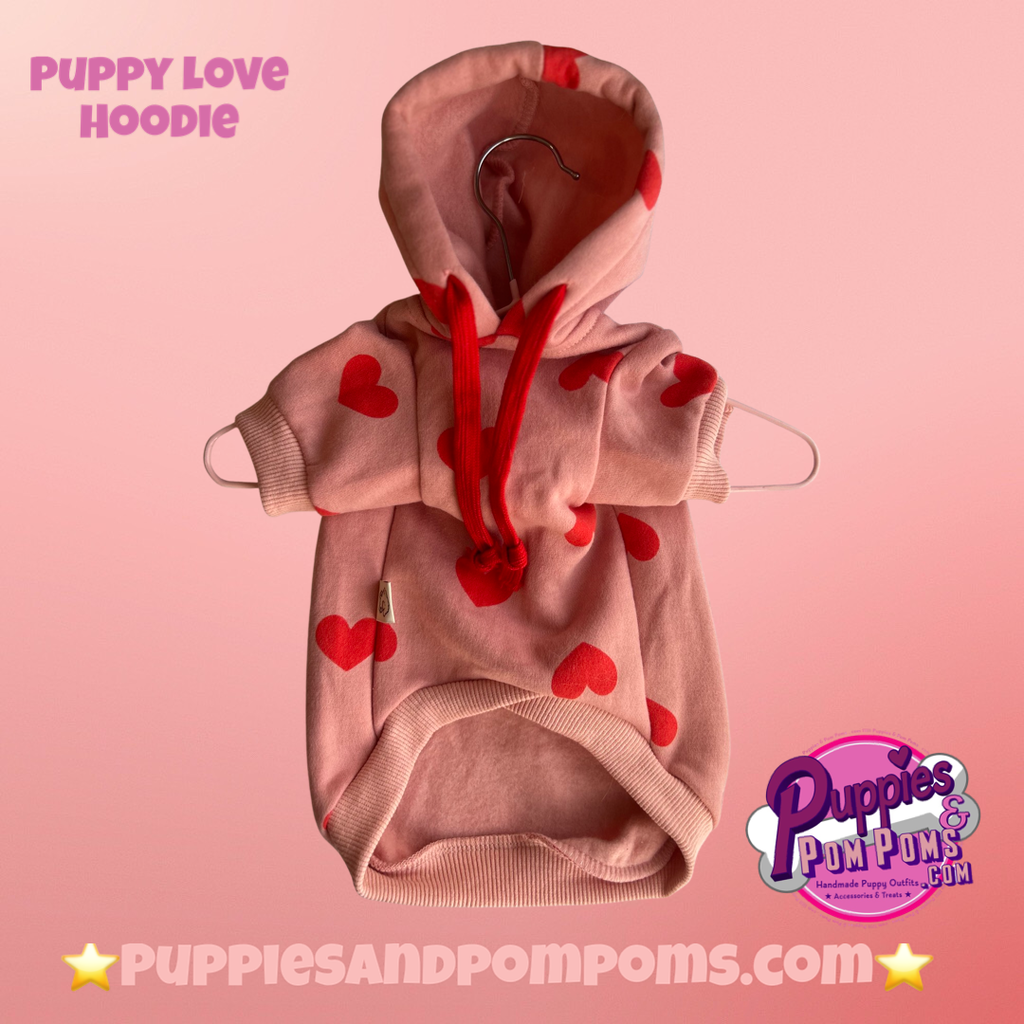 Valentine Puppy Love Hoodie - Pink